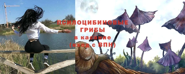 дурь Верея